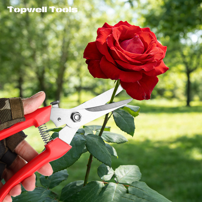 Stainless steel garden shears