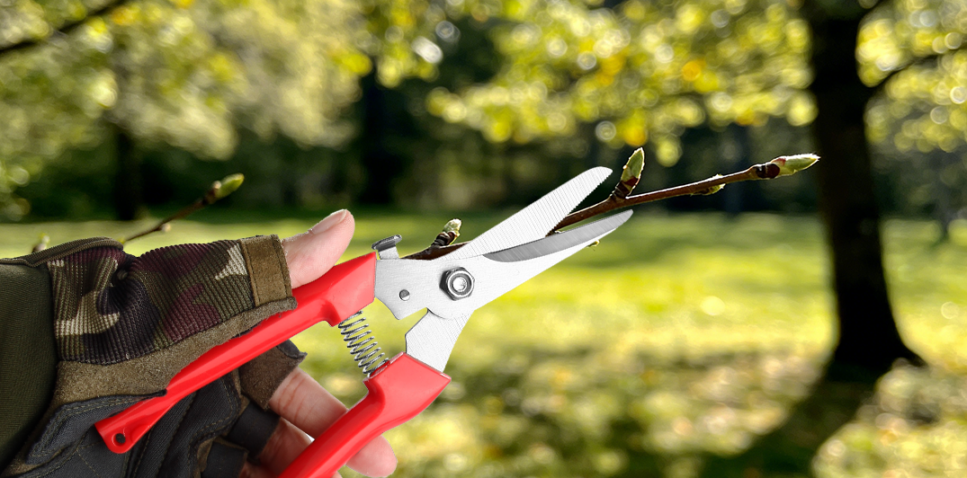 Jungle Expedition Machete