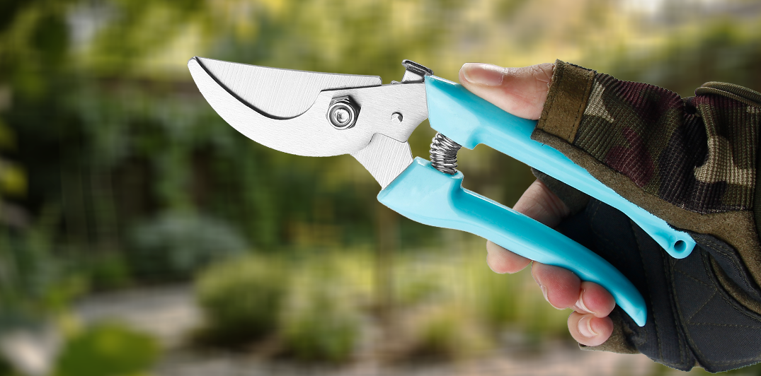 Jungle Expedition Machete