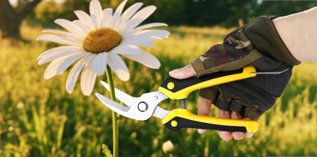 Jungle Expedition Machete